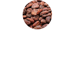 제품소개