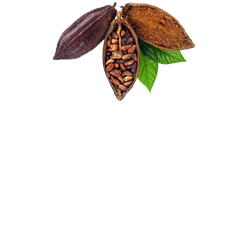 포트폴리오